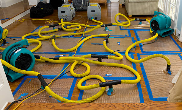 Professional Crawl Space Water Removal technician working in Woodville, VA